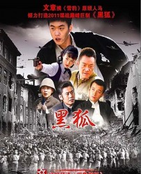 [电视剧] [2010][中国内地]《黑狐》[国语中字][MP4每集约100M][40集全][张若昀/李曼/刘小锋/乔鹏樾/吴婷/章雯淇]