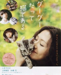 【咕咕是一只猫】[BT/种子下载][日语][剧情][小泉今日子/上野树里][日本][720P高清]